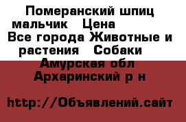 Померанский шпиц мальчик › Цена ­ 30 000 - Все города Животные и растения » Собаки   . Амурская обл.,Архаринский р-н